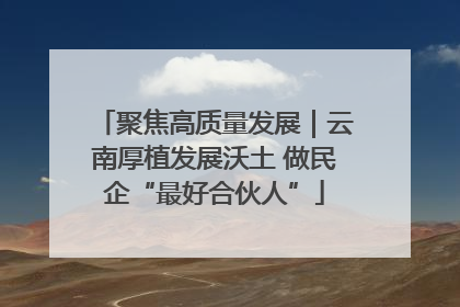 聚焦高质量发展｜云南厚植发展沃土 做民企“最好合伙人”