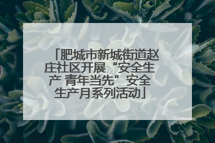肥城市新城街道赵庄社区开展“安全生产 青年当先”安全生产月系列活动