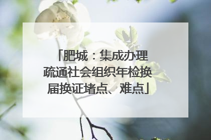 肥城：集成办理 疏通社会组织年检换届换证堵点、难点