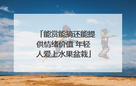 能赏能摘还能提供情绪价值 年轻人爱上水果盆栽