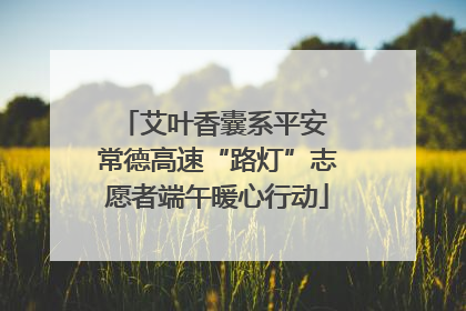 艾叶香囊系平安 常德高速“路灯”志愿者端午暖心行动