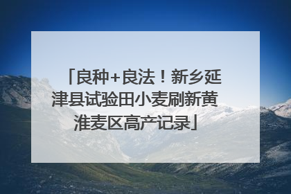 良种+良法！新乡延津县试验田小麦刷新黄淮麦区高产记录