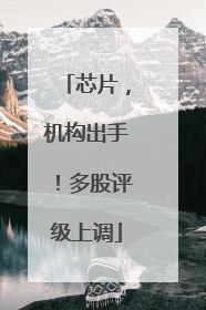 芯片，机构出手！多股评级上调