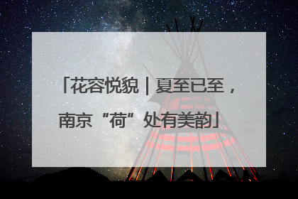花容悦貌｜夏至已至，南京“荷”处有美韵