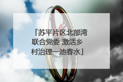 苏平片区北部湾联合党委 激活乡村治理一池春水