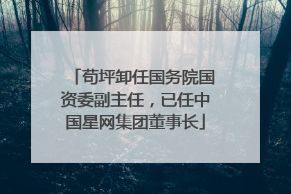 苟坪卸任国务院国资委副主任，已任中国星网集团董事长