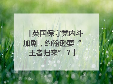 英国保守党内斗加剧，约翰逊要“王者归来”？