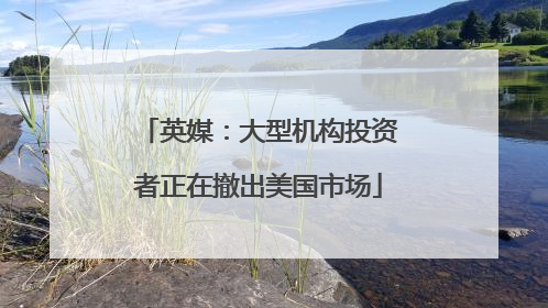 英媒：大型机构投资者正在撤出美国市场