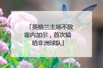 英格兰主场不敌塞内加尔，首次输给非洲球队