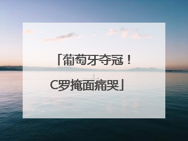葡萄牙夺冠！C罗掩面痛哭