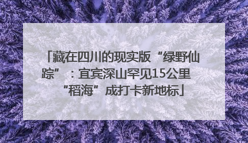 藏在四川的现实版“绿野仙踪”：宜宾深山罕见15公里“稻海”成打卡新地标