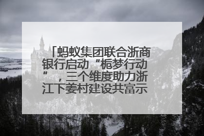 蚂蚁集团联合浙商银行启动“栀梦行动”，三个维度助力浙江下姜村建设共富示范区示范点