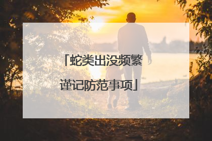 蛇类出没频繁 谨记防范事项