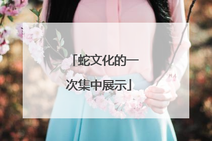 蛇文化的一次集中展示