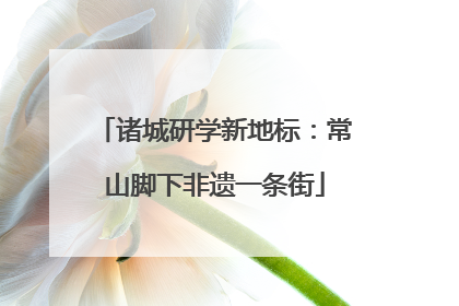 诸城研学新地标：常山脚下非遗一条街