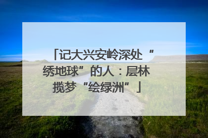记大兴安岭深处“绣地球”的人：层林揽梦“绘绿洲”