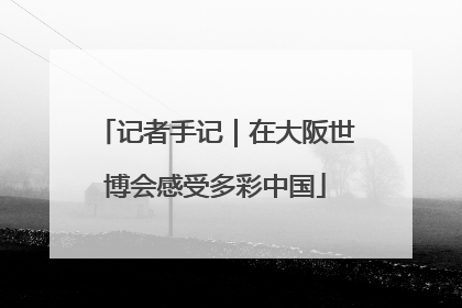 记者手记｜在大阪世博会感受多彩中国