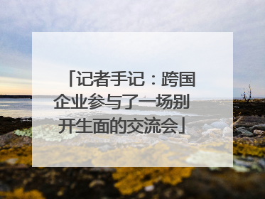 记者手记：跨国企业参与了一场别开生面的交流会