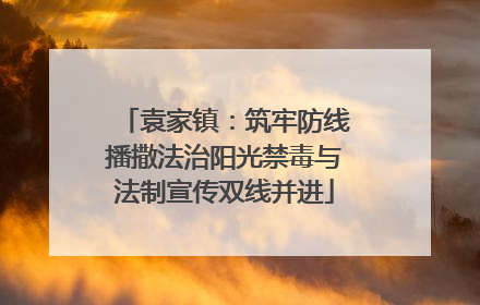 袁家镇：筑牢防线播撒法治阳光禁毒与法制宣传双线并进