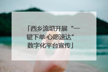 西乡流塘开展“一键下单·心愿速达”数字化平台宣传