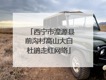 西宁市湟源县前沟村高山大白杜鹃走红网络
