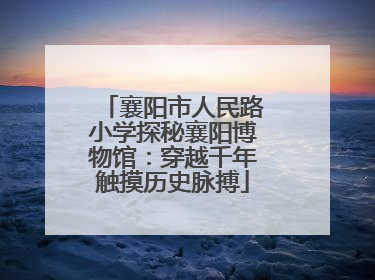 襄阳市人民路小学探秘襄阳博物馆：穿越千年触摸历史脉搏