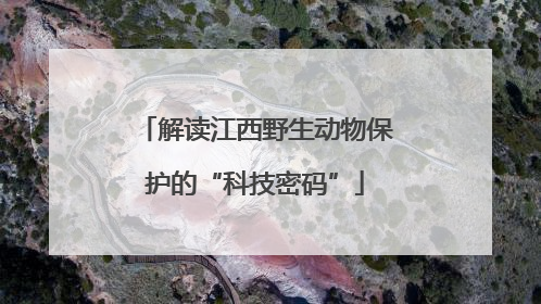 解读江西野生动物保护的“科技密码”