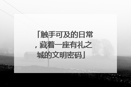 触手可及的日常，藏着一座有礼之城的文明密码