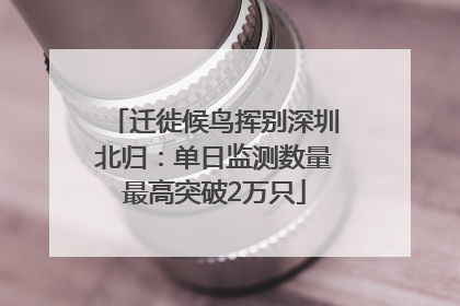 迁徙候鸟挥别深圳北归：单日监测数量最高突破2万只