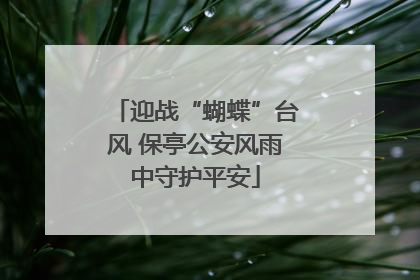 迎战“蝴蝶”台风 保亭公安风雨中守护平安