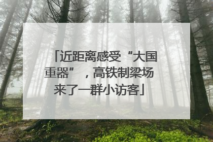 近距离感受“大国重器”，高铁制梁场来了一群小访客