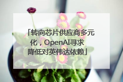转向芯片供应商多元化，OpenAI寻求降低对英伟达依赖