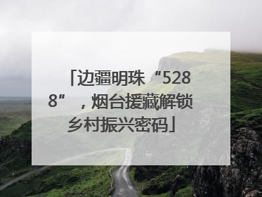 边疆明珠“5288”，烟台援藏解锁乡村振兴密码