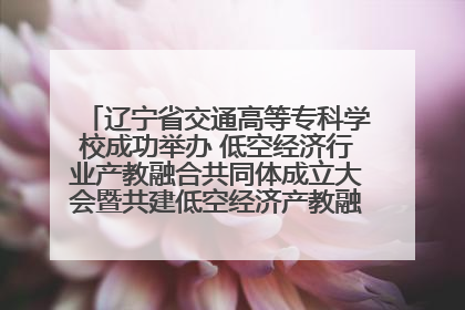 辽宁省交通高等专科学校成功举办 低空经济行业产教融合共同体成立大会暨共建低空经济产教融合新生态论坛