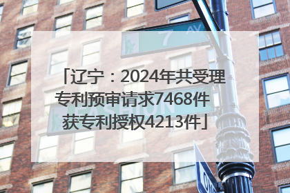 辽宁：2024年共受理专利预审请求7468件 获专利授权4213件