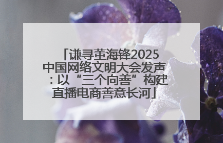 谦寻董海锋2025中国网络文明大会发声：以“三个向善”构建直播电商善意长河