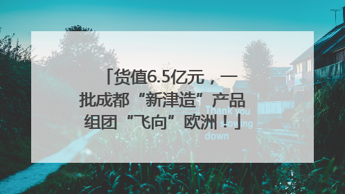 货值6.5亿元，一批成都“新津造”产品组团“飞向”欧洲！
