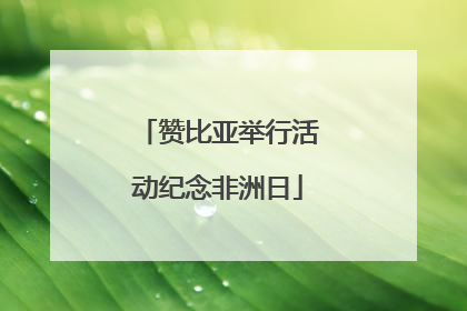 赞比亚举行活动纪念非洲日