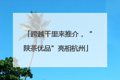 跨越千里来推介，“陕茶优品”亮相杭州
