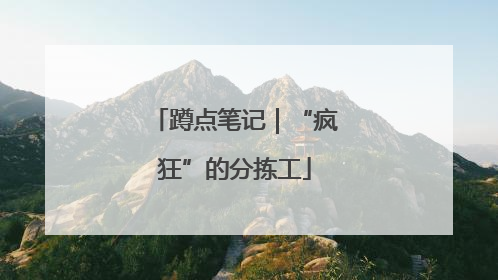 蹲点笔记｜“疯狂”的分拣工