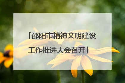 邵阳市精神文明建设工作推进大会召开