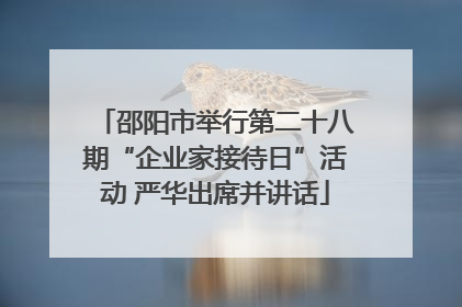 邵阳市举行第二十八期“企业家接待日”活动 严华出席并讲话