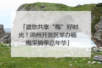 邀您共享“梅”好时光！漳州开发区举办杨梅采摘季嘉年华