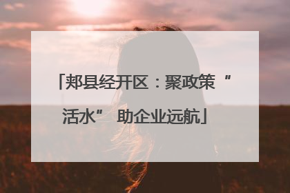 郏县经开区：聚政策“活水” 助企业远航