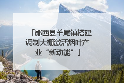 郧西县羊尾镇搭建调制大棚激活烟叶产业“新动能”