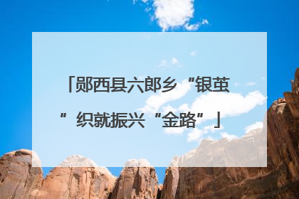 郧西县六郎乡“银茧”织就振兴“金路”