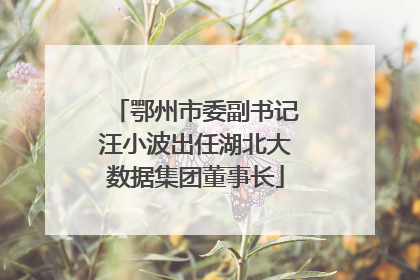 鄂州市委副书记汪小波出任湖北大数据集团董事长