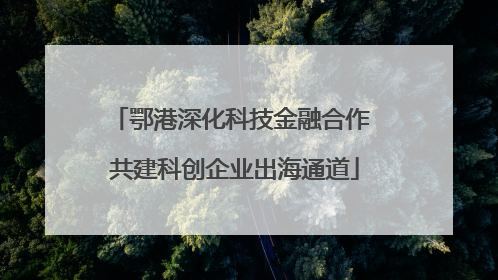 鄂港深化科技金融合作 共建科创企业出海通道