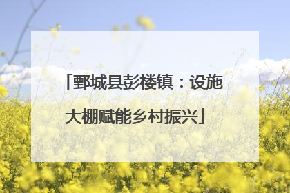 鄄城县彭楼镇：设施大棚赋能乡村振兴