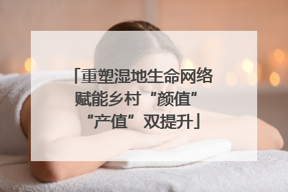 重塑湿地生命网络 赋能乡村“颜值”“产值”双提升